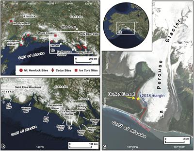 Timing and Potential Causes of 19th-Century Glacier Advances in Coastal Alaska Based on Tree-Ring Dating and Historical Accounts